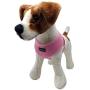 Dog Harness for Small Dogs - No Pull Breathable Mesh Harnesses for Small & Medium Breed Dogs - Puppy Vest for Walking & Running - Adjustable Body Harness - Sizes XS S M L
