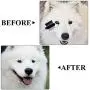 Aodaer 8 Pieces Tear Stain Remover Comb for Cats Dogs Multipurpose Tool for Pet Cat Dogs Removing Eye Mucus, Crust and Matted Fur Pets Grooming Comb Set with Storage Bag Aodaer 8 Pieces Tear Stain Remover Comb for Cats Dogs Multipurpose Tool for Pet Cat Dogs Removing Eye Mucus, Crust and Matted Fur Pets Grooming Comb Set with Storage Bag