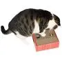 PAWNIE Cat Scratcher and Resting Lounge Pad, Great Cat Toy Made of Eco Friendly Recyclable Cardboard Material PAWNIE Cat Scratcher and Resting Lounge Pad, Great Cat Toy Made of Eco Friendly Recyclable Cardboard Material