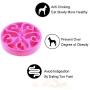 GreeSuit Pet Bowl Water Food Bowls for Dog Cat Small Animals Hanging Removable Cage Feeding Stations - Stainless Steel