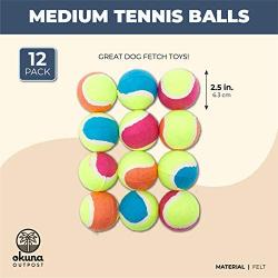 Medium Tennis Balls for Dogs, Neon Fetch Toys for Pets (12 Pack)