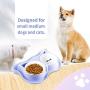 Bbrand Dressyougo Ceramics Double Dog Cat Bowl, Raised Lips No Spill Food and Water Feeder, Reduce Neck Stress, Dishwasher Safe