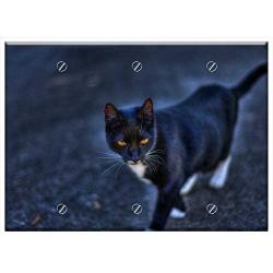 Triple Blank Wall Plate Cover - Black Cat Hdr Cat Feline Kitten Kitty Pet Animal