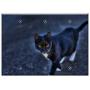 Triple Blank Wall Plate Cover - Black Cat Hdr Cat Feline Kitten Kitty Pet Animal