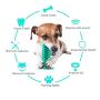 U/R Dog Toy Dog Chew Toys Dog Toothbrush Teeth Cleaning Brushing Stick Toy Pet Squeak Toys Pet Doggy Supplies Puppy Popular Toys