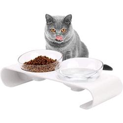 Legendog Cat Bowls,15°Tilted Cat Food Bowl Double Cat Dishes, Cat Feeder Cat Feeding Bowl Raised with Stand, Cat Food Water Bowl for Cats and Small Dog