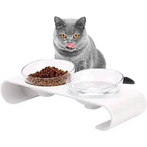 Legendog Cat Bowls,15°Tilted Cat Food Bowl Double Cat Dishes, Cat Feeder Cat Feeding Bowl Raised with Stand, Cat Food Water Bowl for Cats and Small Dog Legendog Cat Bowls,15°Tilted Cat Food Bowl Double Cat Dishes, Cat Feeder Cat Feeding Bowl Raised with Stand, Cat Food Water Bowl for Cats and Small Dog