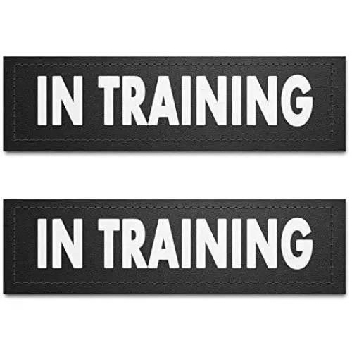 voopet Dog Vest Patches for Dog Harness, Removable Patches - Service Dog, Emotional Support, in Training, Therapy Dog, DO NOT PET(2 pcs)