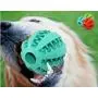 ZOZ Baseball Sized Dogs Chew Toy Ball for Puppy Outdoor Sports game ZOZ Baseball Sized Dogs Chew Toy Ball for Puppy Outdoor Sports game