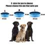 penban PVC Foldable Pet Swimming Pool, Collapsible Dog Pet Pool Bathing Tub Kiddies Pool for Dogs Cats and Kids