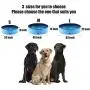 penban PVC Foldable Pet Swimming Pool, Collapsible Dog Pet Pool Bathing Tub Kiddies Pool for Dogs Cats and Kids penban PVC Foldable Pet Swimming Pool, Collapsible Dog Pet Pool Bathing Tub Kiddies Pool for Dogs Cats and Kids