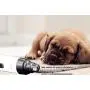 Denniriort Dog Nail Grinder, Rechargeable Electric Dog Nail Trimmer, 2-Speed Nail Clipper for Small Medium and Large Pet, Safe, Painless and Low Noise Denniriort Dog Nail Grinder, Rechargeable Electric Dog Nail Trimmer, 2-Speed Nail Clipper for Small Medium and Large Pet, Safe, Painless and Low Noise