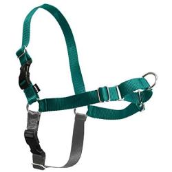 PetSafe Easy Walk Dog Harness, No Pull Dog Harness – Perfect for Leash & Harness Training – Stops Pets from Pulling and Choking on Walks – Works with Small, Medium and Large Dogs