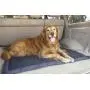 Lightspeed Outdoors Self Inflating Fleece Top Cover Travel Dog Bed | Kennel Bed ,32-Inch by 42 Inch Lightspeed Outdoors Self Inflating Fleece Top Cover Travel Dog Bed | Kennel Bed ,32-Inch by 42 Inch
