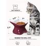 LE TAUCI Ceramic Cat Bowl Elevated, Raised Cat Food Bowl 4 Ounce Cat Dish for Food and Water for Small Cat Dog