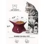 LE TAUCI Ceramic Cat Bowl Elevated, Raised Cat Food Bowl 4 Ounce Cat Dish for Food and Water for Small Cat Dog LE TAUCI Ceramic Cat Bowl Elevated, Raised Cat Food Bowl 4 Ounce Cat Dish for Food and Water for Small Cat Dog