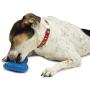 PetSafe Chilly Penguin Treat Holding Dog Toy