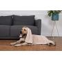 Uvoguepaw Bath Towel for Dog Pets Gifts Accessories and Supplies for Cleaning Puppy Microfiber Size 2847 for Small, Medium and Large Pets