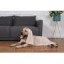 Uvoguepaw Bath Towel for Dog Pets Gifts Accessories and Supplies for Cleaning Puppy Microfiber Size 2847 for Small, Medium and Large Pets Uvoguepaw Bath Towel for Dog Pets Gifts Accessories and Supplies for Cleaning Puppy Microfiber Size 2847 for Small, Medium and Large Pets