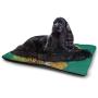 DayDayFun Safari Cat Mat Antelope Crowd on Grassland at Sunset Tropic Exotic Savannahs Animals Pet Mats for Litter Boxes Golden Red Brown