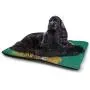 DayDayFun Safari Cat Mat Antelope Crowd on Grassland at Sunset Tropic Exotic Savannahs Animals Pet Mats for Litter Boxes Golden Red Brown