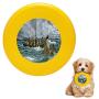 Pet Frisbee Flying Disc Dog Toy - Multifunction Christ Walking On The Sea of Galilee Anonymous