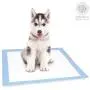American Kennel Club AKC Training Pads AKC 63860, ''22'''' x 22'''' - pack of 150''