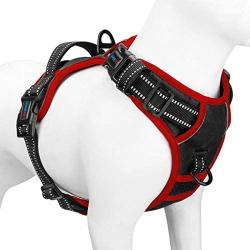 PHOEPET 2019 Upgraded No Pull Dog Harness, Unique Colors Reflective Adjustable Vest, with a Training Handle + 2 Metal Leash Hooks+ 3 Snap Buckles +4 Slide Buckles [Easy to Put on & Take Off]