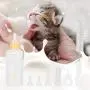 Simlug Puppy Feeding Bottle, 60ml 6PCS Nursing Care Pet Nursing Kit, Puppy for Pet Simlug Puppy Feeding Bottle, 60ml 6PCS Nursing Care Pet Nursing Kit, Puppy for Pet