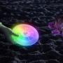 Nite Ize Flashflight LED Dog Discuit - Best Dog Flying Disc For All Hours of Play - With Long-Lasting LED Light, 1-Pack Multi-Colored Disc-O (FFDD-07-R8)