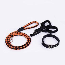 WoofLuv Dog Collar Leash Harness Set for Small Medium Dogs (15-30lb) Adjustable Durable Secure and Comfortable No Pull Effective in Training Easy Control