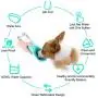 CLEEBOURG Dog Water Bottle, Portable Pet Water Dispenser Leak Proof Lightweight Drinking Bowl Bottles 400ml/14oz for Outdoor Walking, Travelling, Drinking CLEEBOURG Dog Water Bottle, Portable Pet Water Dispenser Leak Proof Lightweight Drinking Bowl Bottles 400ml/14oz for Outdoor Walking, Travelling, Drinking