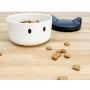 Suck UK Pet Food Treats Storage Container, Multi Color