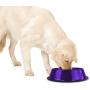 Platinum Pets Embossed Non-Tip Stainless Steel Cat/Dog Bowl