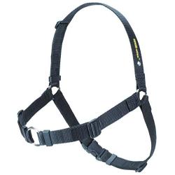 SENSE-ation No-Pull Dog Harness - 3/4'' Wide Medium/Large