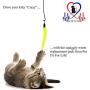 Pet Fit For Life 5 Piece Replacement Pack of Worms for Interactive Cat and Kitten Toy Wands