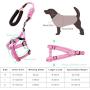 SINCHER Dog Harness No-Pull ，Pet Collar withTraining Leash，Dog Training Whistle and Ball ，Safety and Easy Control Front Small Medium Large Dogs
