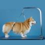 No Sit Pet Haunch Holder Dog Grooming Arm Restraint for Small, Medium and Large Dogs | Durable and Effective for Grooming Tables (Haunch Only, Large 21'' and 24'')