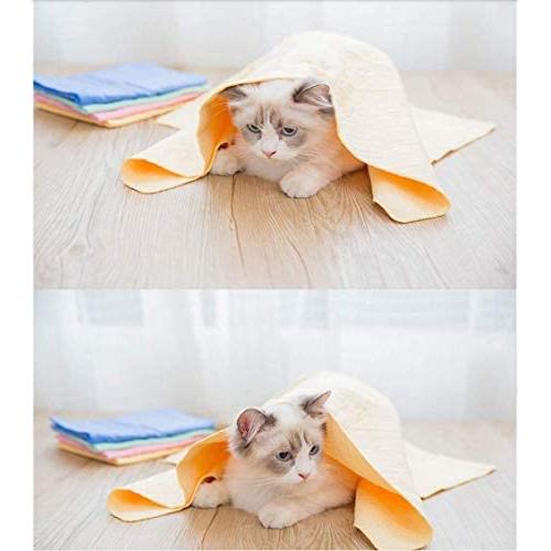 Pet Bath Towel,2 Pack Ultra Absorbent Cat and Dog Towels 17 X 26 for Small Medium Dogs and Cats Car/HairDrying /Kitchen Household