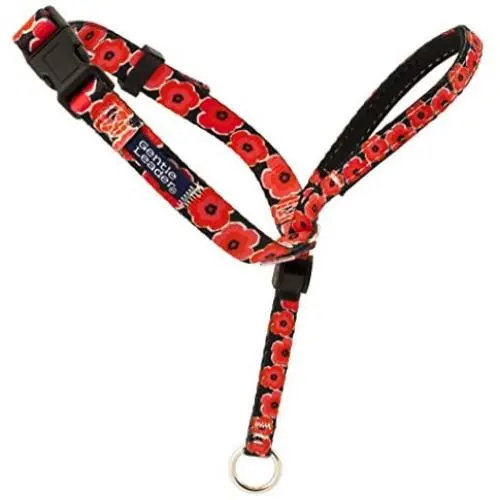 PetSafe Chic Gentle Leader Headcollar, No-Pull Dog Collar – Perfect for Leash & Harness Training – Stops Pets from Pulling and Choking on Walks – Works with Small, Medium and Large Dogs PetSafe Chic Gentle Leader Headcollar, No-Pull Dog Collar – Perfect for Leash & Harness Training – Stops Pets from Pulling and Choking on Walks – Works with Small, Medium and Large Dogs