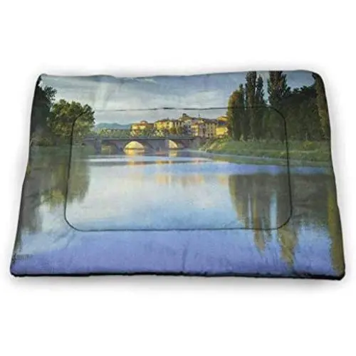DayDayFun Landscape Pet Mats for Dogs Frozen Winter Lake River in Woods Trees Under The Snow Nature Forest Artful Rectangle Mat for Dogs and Cats White Green DayDayFun Landscape Pet Mats for Dogs Frozen Winter Lake River in Woods Trees Under The Snow Nature Forest Artful Rectangle Mat for Dogs and Cats White Green