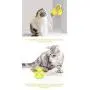 USWT Cat Toy Kitten Toys Cats Supplies, Interactive Puzzle Automatic Scratcher with Catnip Ball, Funny Feather Chase Hunting Toys for Indoor Kitty¡ USWT Cat Toy Kitten Toys Cats Supplies, Interactive Puzzle Automatic Scratcher with Catnip Ball, Funny Feather Chase Hunting Toys for Indoor Kitty¡