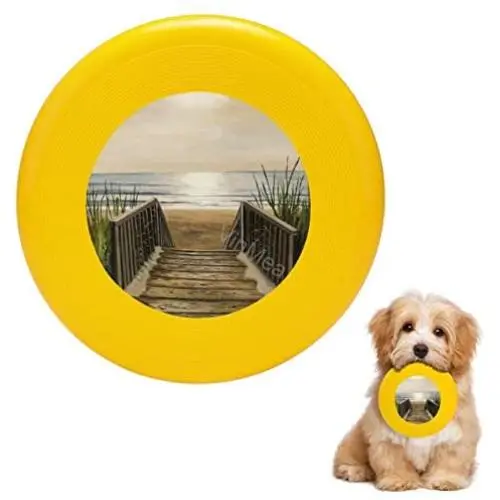 Pet Frisbee Flying Disc Dog Toy - Multifunction 1 The Beach Toni Thorne Pet Frisbee Flying Disc Dog Toy - Multifunction 1 The Beach Toni Thorne
