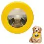 Pet Frisbee Flying Disc Dog Toy - Multifunction 1 The Beach Toni Thorne Pet Frisbee Flying Disc Dog Toy - Multifunction 1 The Beach Toni Thorne