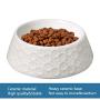 None branded Ceramic Cat Bowls Dog Bowl Cat Food Water Bowls with Retro Emboss Pattern, Heavyweight Cat Dish Dog Feeding Bowls