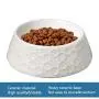 None branded Ceramic Cat Bowls Dog Bowl Cat Food Water Bowls with Retro Emboss Pattern, Heavyweight Cat Dish Dog Feeding Bowls None branded Ceramic Cat Bowls Dog Bowl Cat Food Water Bowls with Retro Emboss Pattern, Heavyweight Cat Dish Dog Feeding Bowls