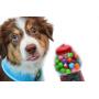 Classic Dog Harness Innovative Mesh No Pull No Choke Design Soft Double Padded Breathable Vest for Eco-Friendly Easy Control Walking Quick Release for Puppies Toy Breeds & Extra-Small Dogs