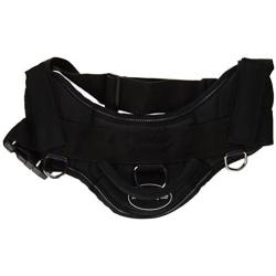 DT Fun Harness, The Dogfather, Black with Reflective Trim, Medium - Fits Girth Size: 28-Inch to 34-Inch