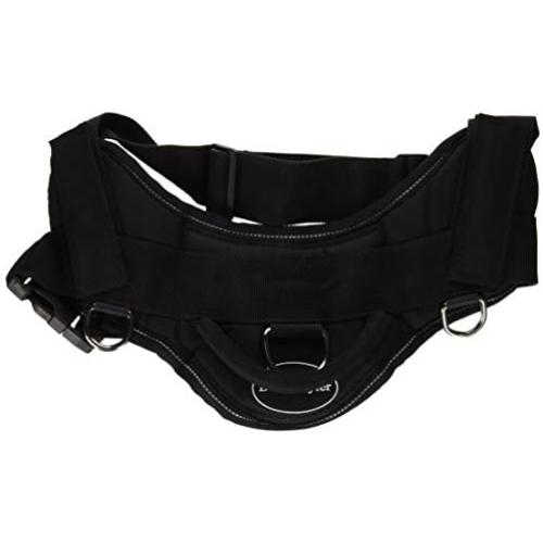 DT Fun Harness, The Dogfather, Black with Reflective Trim, Medium - Fits Girth Size: 28-Inch to 34-Inch