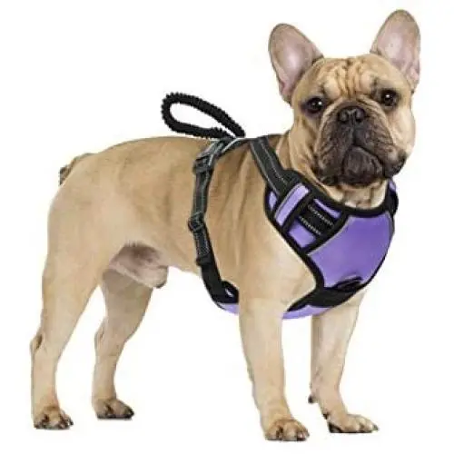 Pawaboo Dog Harness, No Pull Pet Vest Harness Adjustable Reflective Oxford Soft Padded Easy Control Handle for Outdoor Walking, Suitable for Small, Medium, Large Dogs Pawaboo Dog Harness, No Pull Pet Vest Harness Adjustable Reflective Oxford Soft Padded Easy Control Handle for Outdoor Walking, Suitable for Small, Medium, Large Dogs